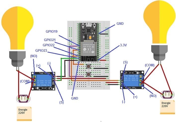 Montage de la carte ESP32 avec deux lampes, deux relais et deux boutons poussoirs