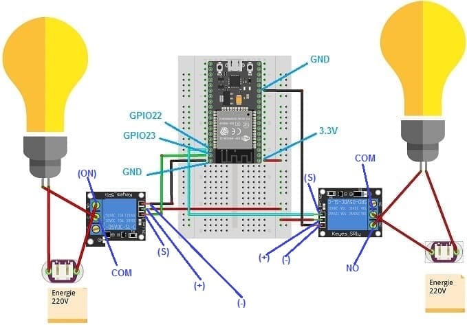 Montage de la carte ESP32 avec deux lampes et deux relais